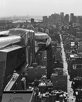 Iconic New York: Bliss, Christopher, Koch, Ed: 9783832795764